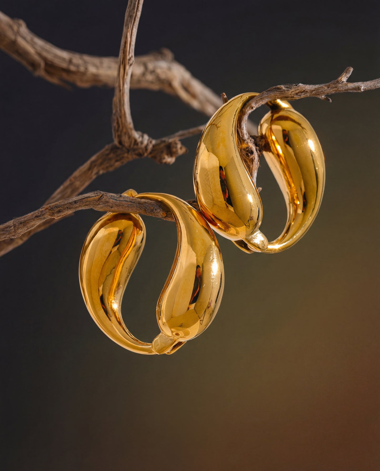 The Nandá Earring