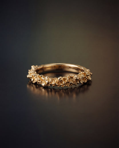 The Nitcheú Ring